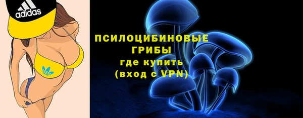 альфа пвп Корсаков