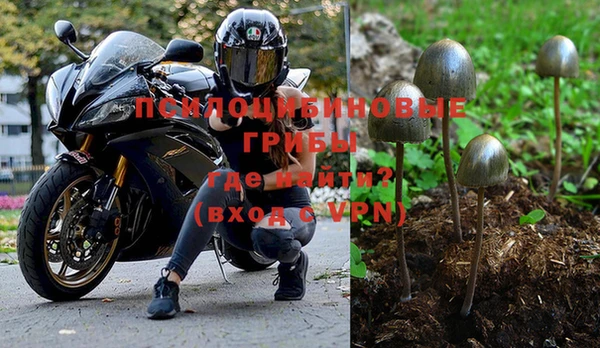 альфа пвп Корсаков