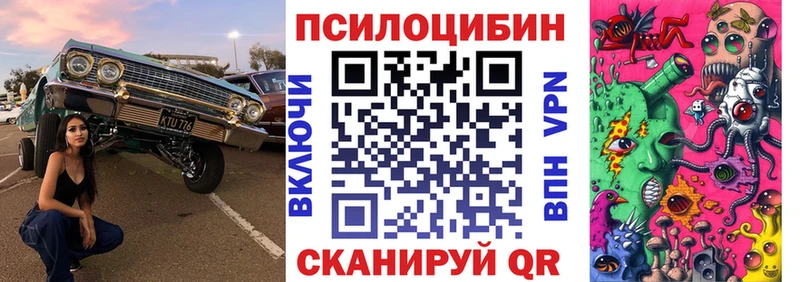Купить где  Орлов  Псилоцибиновые грибы Psilocybe 