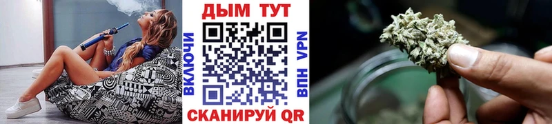Конопля OG Kush  Купить где  Орлов 